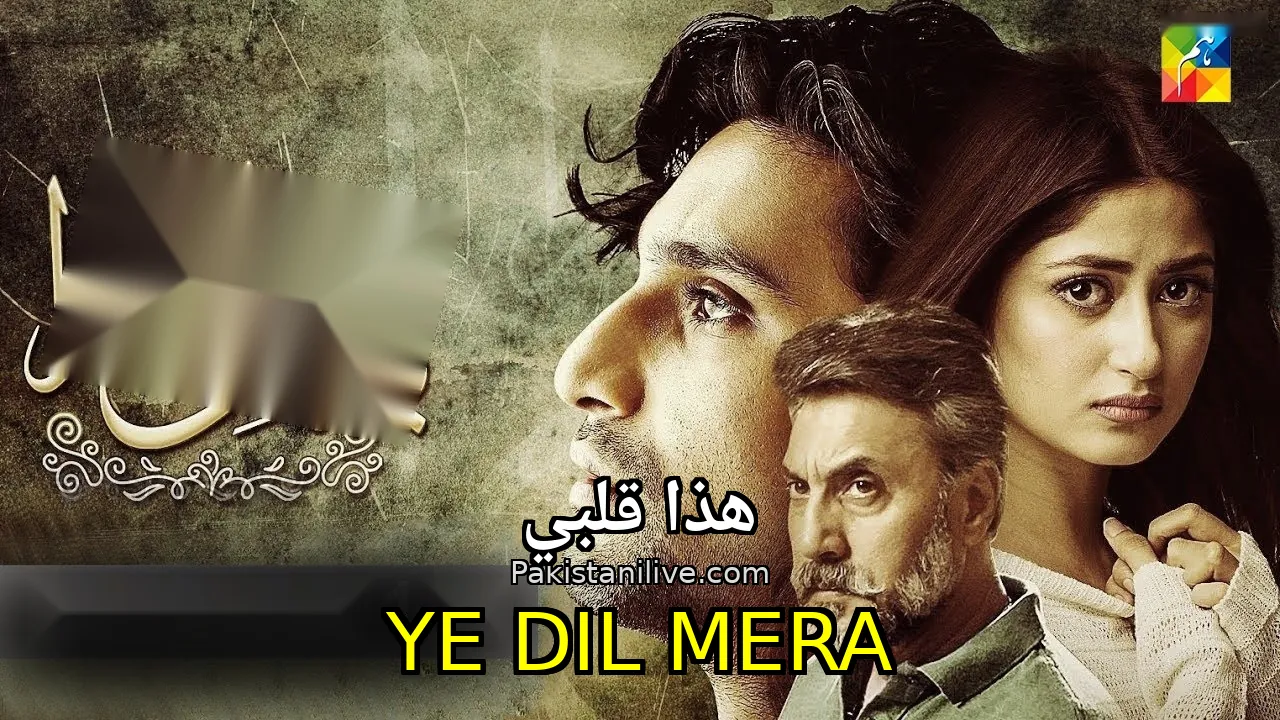 مسلسل باكستاني Ye Dil Mera - هذا قلبي