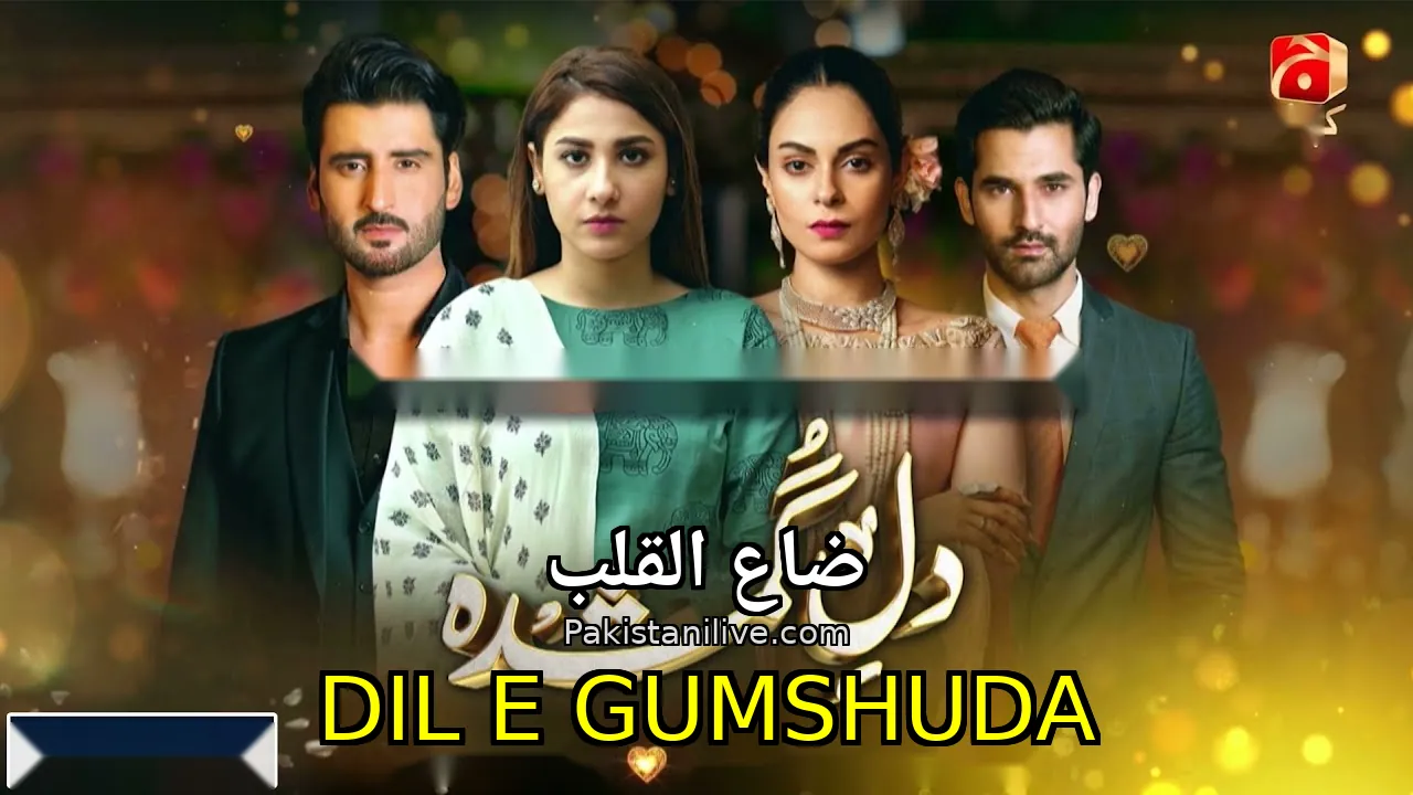 مسلسل باكستاني Dil e Gumshuda - ضاع القلب